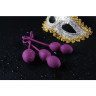 Вагинальные шарики со смещенным центром тяжести SVAKOM NOVA SSYB-VLT